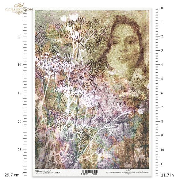 twarz kobiety, twarz kobieca, kobieta, zielarka, herbalist, rośliny, kwiaty, ogród, łąka, koper, nasiona kopru, płótno, struktura płótna, woman's face, female face, woman, herbalist, plants, flowers, garden, meadow, dill, dill seeds, canvas