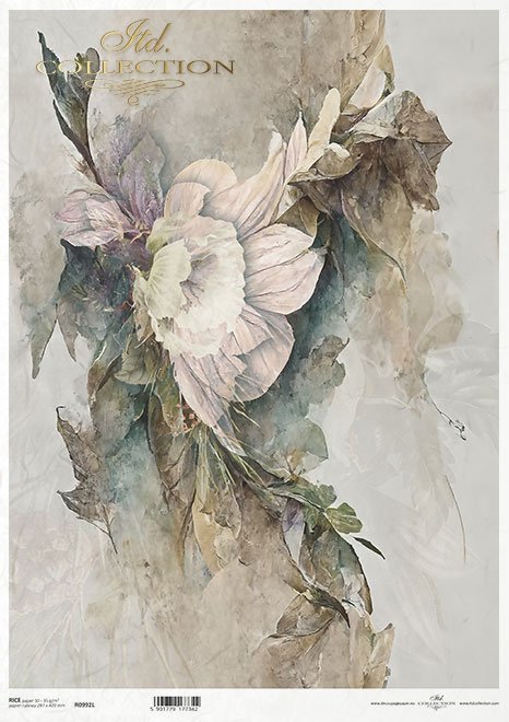 motywy roślinne, motywy kwiatowe, tło, tapeta, kolaż, rośliny, kwiaty*floral motifs, floral motifs, background, wallpaper, collage, plants, flowers*blumenmotive, blumenmotive, hintergrund, wallpaper, collage, pflanzen, blumen*motivos florales, motivos flo