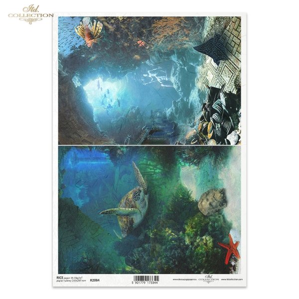 seria The Search for Atlantis, szukając Atlantydy, Atlantyda, żółw morski, płaszczka, rafa koralowa, zatopiony skarb, podwodne miasto, podwodny świat, nurkowanie, morze, ocean, woda, Atlantis, sea turtle, stingray, coral reef, sunken treasure