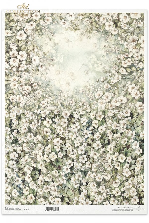 kwiaty flowers Blumen flores 