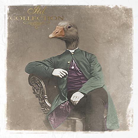 zwierzęta retro, zwierzęta w strojach, zoomorfizm, vintage, kaczka, baranek, gąsior, gąska, owieczka, kaczor, kolor*retro animals, animals in costume, zoomorphism, vintage, duck, lamb, goose, sheep, duckling, colour