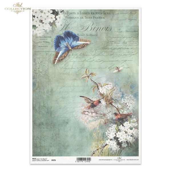 kwiat, ptak, motyl, ćma, ogród, pastelowe tło, list, ręczne pismo, krzew owocowy, drzewo owocowe, R976, flower, bird, butterfly, moth, garden, pastel background, letter, handwriting, fruit bush, fruit tree, Blume, Vogel, Schmetterling, Motte, Garten, past