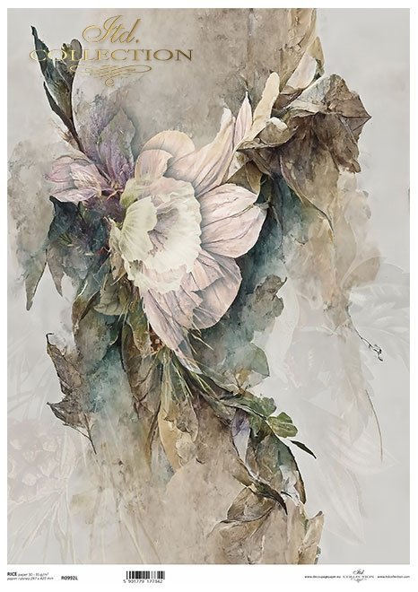 motywy roślinne, motywy kwiatowe, tło, tapeta, kolaż, rośliny, kwiaty*floral motifs, floral motifs, background, wallpaper, collage, plants, flowers*blumenmotive, blumenmotive, hintergrund, wallpaper, collage, pflanzen, blumen*motivos florales, motivos flo