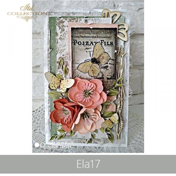 20190506-Ela17-TAG 0045-example 01
