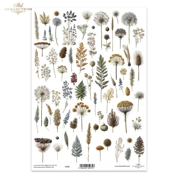ususzone kwiatki, zioła, rośliny, suszki*dried flowers, herbs, plants, dries*Trockenblumen, Kräuter, Pflanzen, getrocknet*flores secas, hierbas, plantas, seca