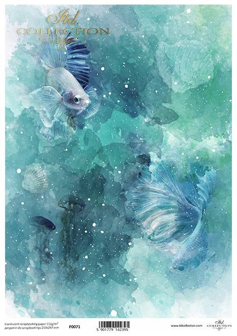 Ocean, głębia, ryby, welony, akwarium