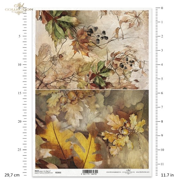 jesień, jesienne widoczki, rośliny, winobluszcz, dąb, liście dębu, żołędzie, Autumn Love Story, autumn, autumn views, plants, grapevine, oak, oak leaves, acorns, Herbst, Herbstansichten, Pflanzen, Weinrebe, Eiche, Eichenblätter, Eicheln