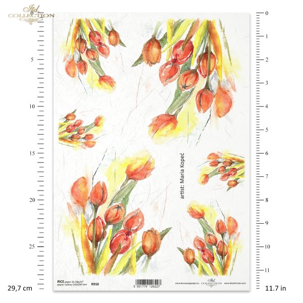 tulipan, kwiat, ogród, łąka, wiosna, autorka grafiki Maria Kopeć, R918, flower, garden, meadow, spring, Blume, Garten, Wiese, Frühling, flor, jardín, prado, primavera, tulipán, Tulpe, tulip