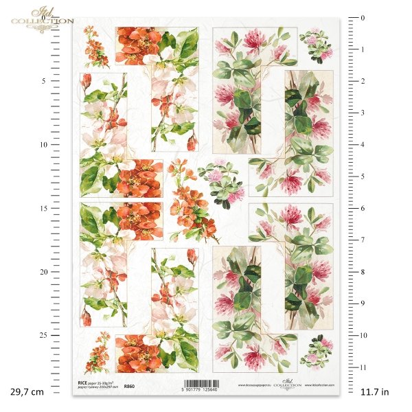 pigwa, pigwowiec, koniczyna, koniczynka, łąka, ogród, kwiat, kwitnąca jabłoń, wiosna, R860, quince, quince tree, clover, meadow, garden, flower, blossoming apple tree, spring, Quitte, Quittenbaum, Klee, Klee, Wiese, Garten, Blume, blühender Apfelbaum, Frü