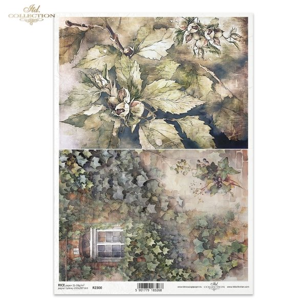 jesień, jesienne widoczki, bluszcz pospolity, okno, liście, leszczyna, orzechy laskowe, Autumn Love Story, autumn, autumn views, common ivy, window, leaves, hazel, hazelnuts, Herbst, Herbstansichten, Efeu, Fenster, Blätter, Hasel, Haselnüsse