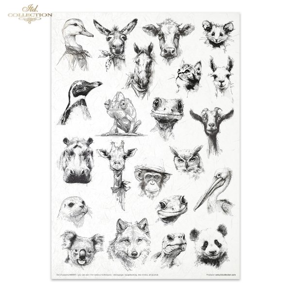 Crazy Animals - Zwariowane Zwierzęta - Crazy Animals - Verrückte Tiere - Animales Locos