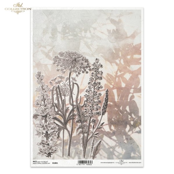 kwiaty polne, dzikie kwiaty, łąka, zioła, akwarela, akwarele, tło, tła, struktura płótna, Summer meadow, grass, grasses, field flowers, wild flowers, meadow, herbs, watercolour, background, canvas structure, Gras, Gräser, Feldblumen