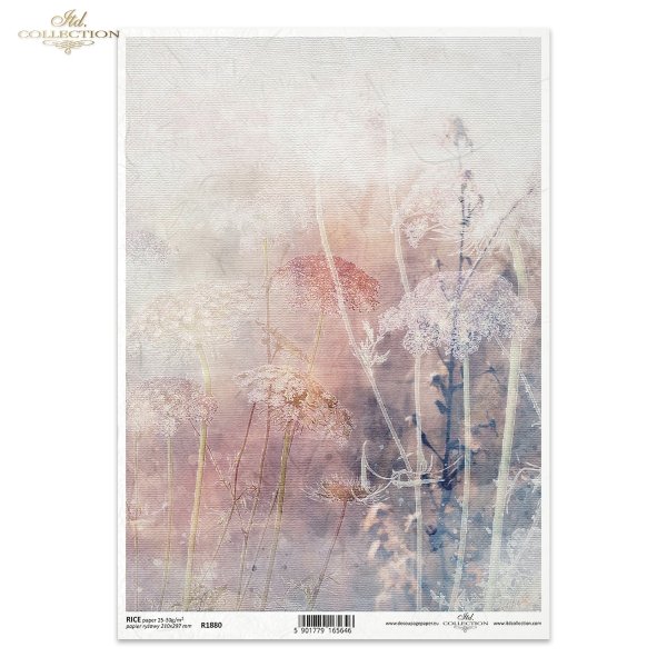trawy, kwiaty polne, dzikie kwiaty, łąka, zioła, akwarela, akwarele, tło, tła, struktura płótna, Summer meadow, grass, grasses, field flowers, wild flowers, meadow, herbs, watercolour, background, canvas structure, Gras, Gräser