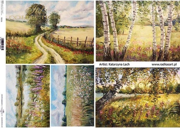 Papel Decoupage pintura contemporánea prado, abedul, carretera nacional*Papier Decoupagepapier zeitgenössische Malerei Wiese, Birke, Landstraße*Бумага Декупаж современной живописи луговой, березы, дорога