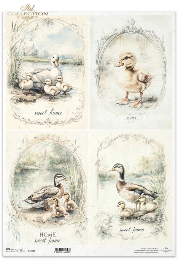kaczki, kaczuszki, wiejskie zwierzęta, wiosenne klimaty, rustykalny styl*ducks, ducklings, country animals, spring climate, rustic style*Enten, Entenküken, Tiere auf dem Land, Frühlin*patos, patitos, animales de campo, clima primaveral, estilo rústicogskl