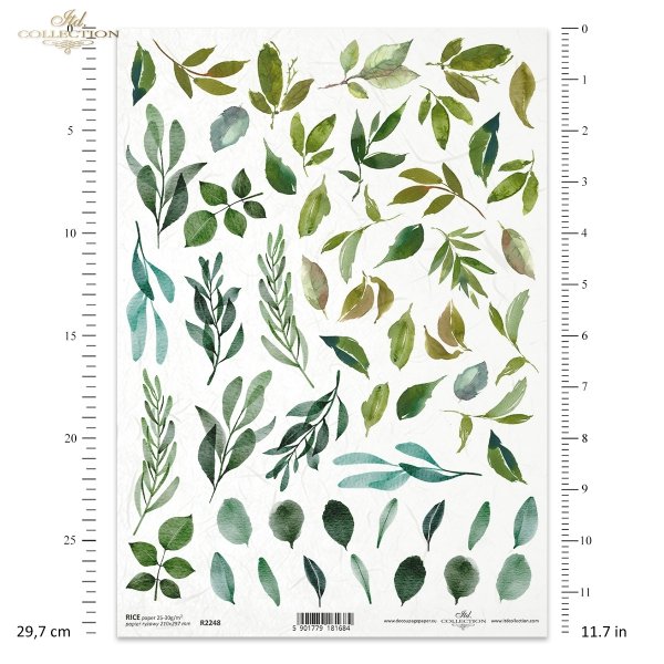 listki, liście, gałązki, zieleń, akwarela, leaves, foliage, twigs, green, watercolour, Blätter, Laub, Zweige, grün, Aquarell, hojas, follaje, ramitas, verde, acuarela
