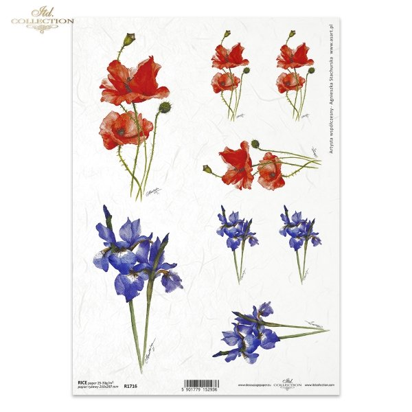 kwiaty polne, łąka, maki, irysy, artysta współczesny Agnieszka Stachurska, field flowers, meadow, poppies, irises, contemporary artist, Feldblumen, Wiese, Mohnblumen, Schwertlilien, zeitgenössische Künstlerin, flores de campo, prado