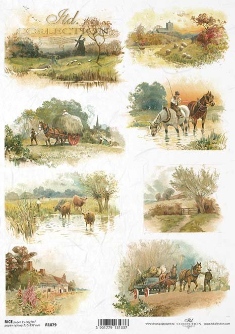 countryside views, countryside, village, field, pond, landscape, horse, cows, cottage, Landschaftsansichten, Dorf, Feld, Teich, Landschaft, Pferd, Heuhaufen, Kühe, Hütte, Haus, vistas del campo, pueblo, campo, estanque