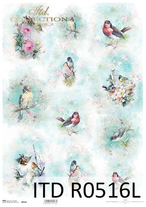 Shabby Chic, Vögel, Aquarelle, Frühling * Shabby Chic, pájaros, acuarelas, primavera * Shabby Chic, птицы, акварели, родник