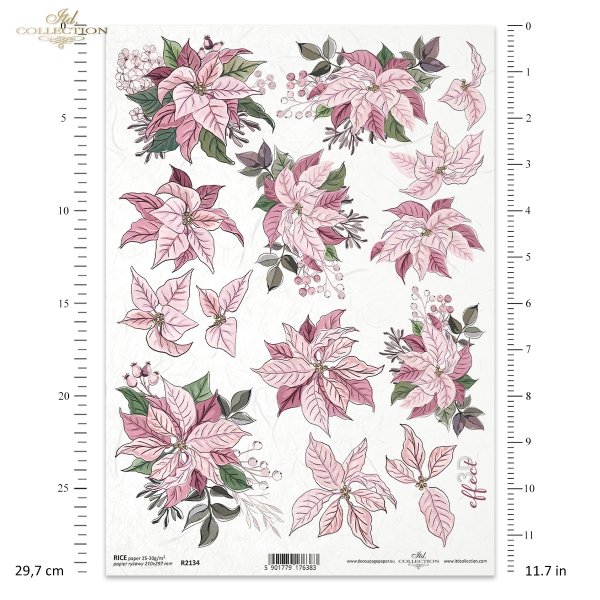 poinsecja, gwiazda betlejemska, kwiat, klimat Bożego Narodzenia, poinsettia, star of Bethlehem, flower, Christmas spirit, Weihnachtsstern, Stern von Bethlehem, Blume, Weihnachtsstimmung, poinsettia, estrella de Belén, flor