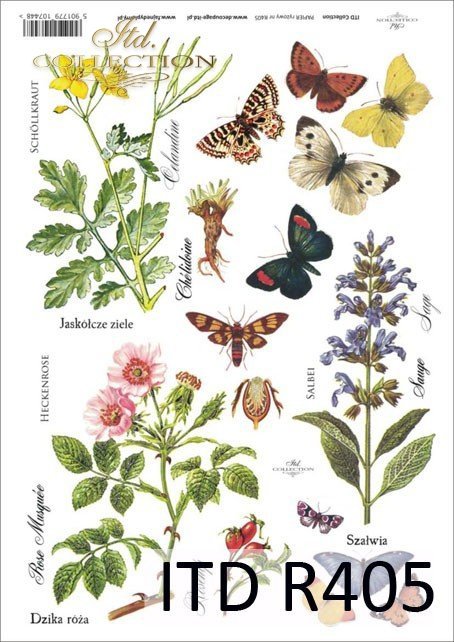 łąka, rośliny, motyl, motyle,  jaskółcze ziele, szałwia, dzika róża, kwiat, kwiaty, zioła, ziółka, R405