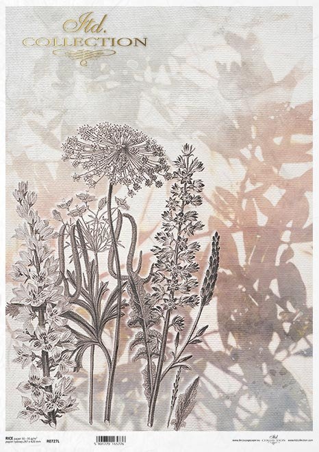 kwiaty polne, trawy, akwarela*field flowers, grasses, watercolour*Feldblumen, Gräser, Aquarell*flores de campo, hierbas, acuarela