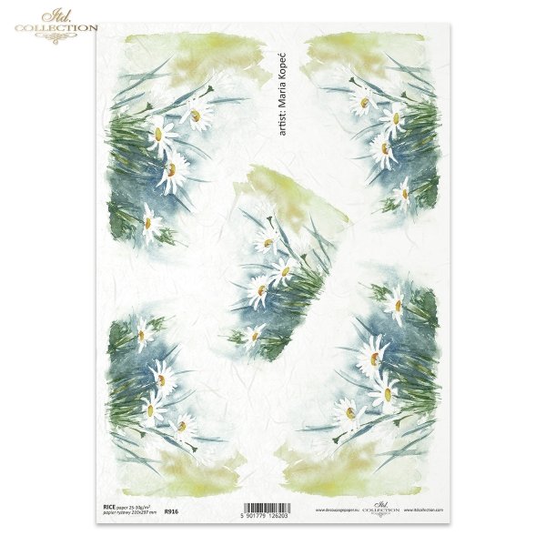 rumianek, rumianki, kwiat, ogród, łąka, wiosna, autorka grafiki Maria Kopeć, R916, camomile, flower, garden, meadow, spring, Kamille, Blume, Garten, Wiese, Frühling, manzanilla, flor, jardín, prado, primavera