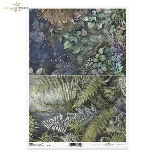 tajemniczy las, puszcza, paproć, paprocie, paprotka, motywy roślinne, flora, liście, rośliny, roślinność, Mysterious Creatures, mysterious forest, wilderness, fern, ferns, plant motifs, flora, leaves, plants, vegetation, Geheimnisvoller Wald