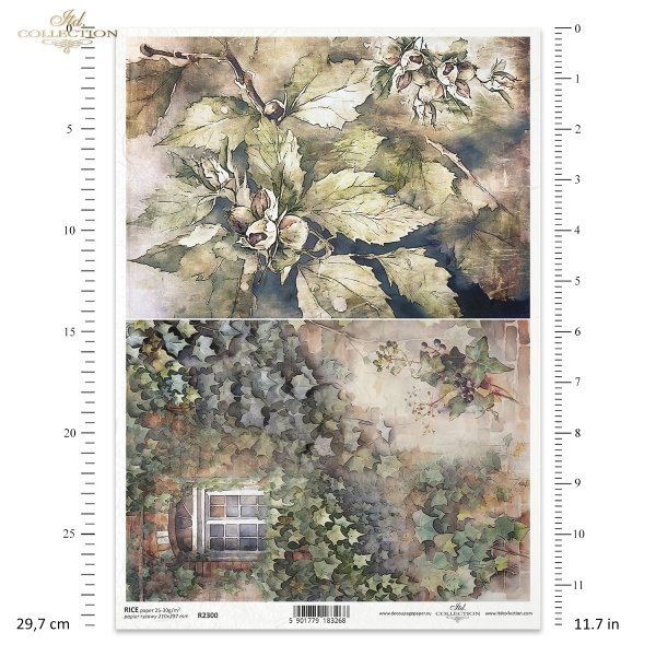 jesień, jesienne widoczki, bluszcz pospolity, okno, liście, leszczyna, orzechy laskowe, Autumn Love Story, autumn, autumn views, common ivy, window, leaves, hazel, hazelnuts, Herbst, Herbstansichten, Efeu, Fenster, Blätter, Hasel, Haselnüsse