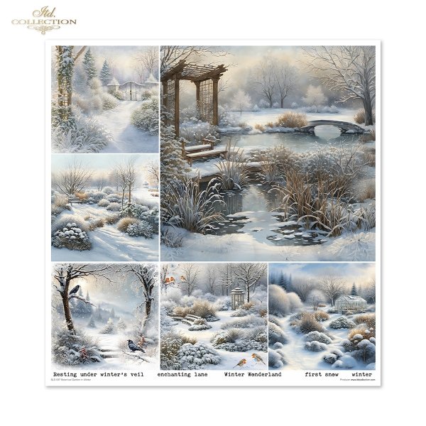 Botanical Garden in Winter * Ogród botaniczny zimą * Botanischer Garten im Winter * Jardín botánico en invierno
