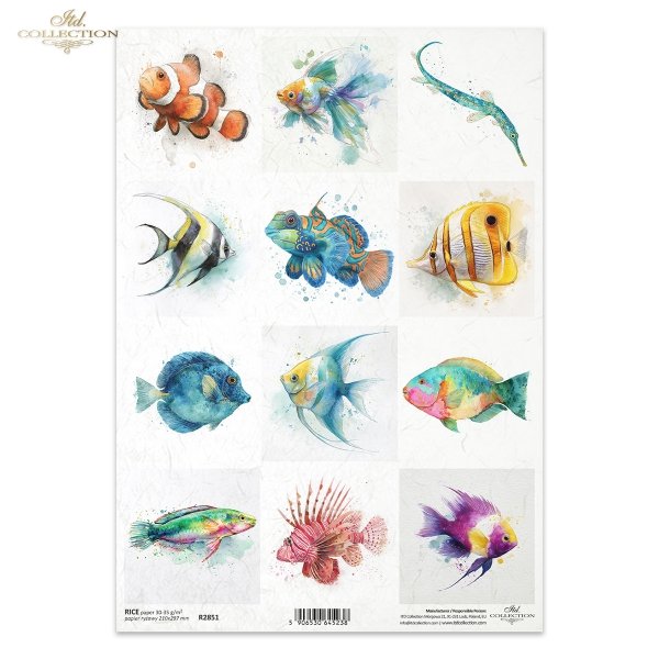 błazenek, skrzydlica, iglicznia, wargacz, mandaryn, papugoryba, akwarela, ryby*clownfish, lionfish, pipefish, wrasse, mandarinfish, parrotfish, watercolor, fish