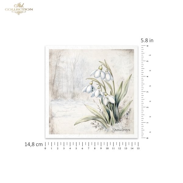 Zestaw papierów ryżowych (HS code 48021000) RSM172