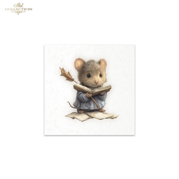 Mouse World  * Świat Myszek  - myszki