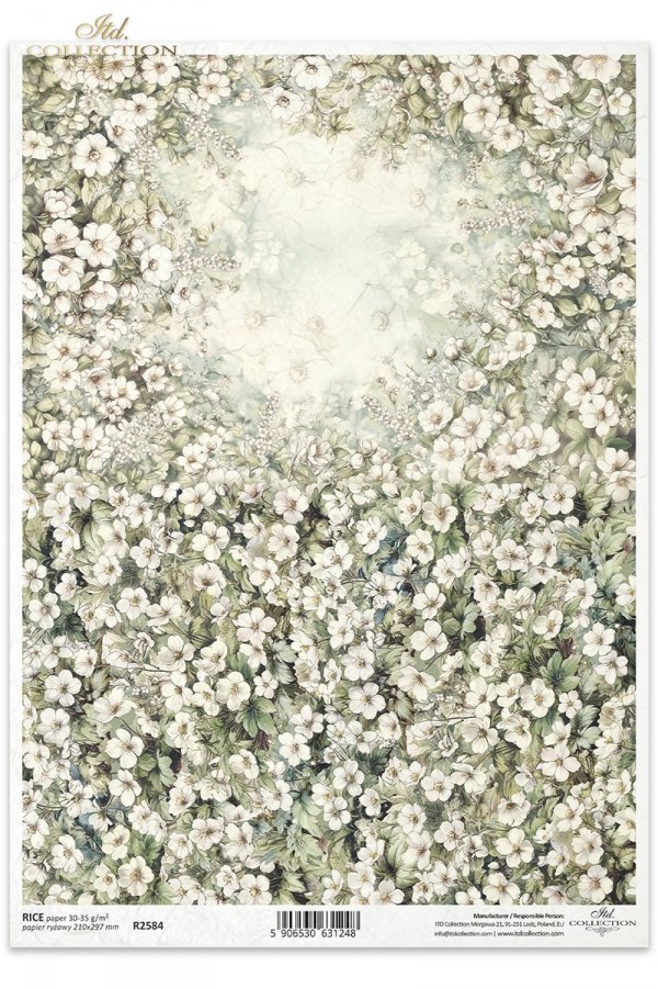 kwiaty flowers Blumen flores 