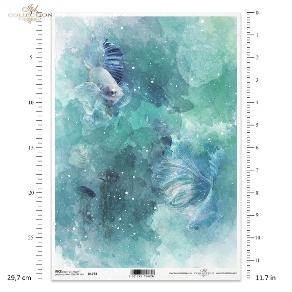 woda, ocean, morze, ryba, rybka, rybki, muszla, muszle, głębia, toń, akwarium, akwarela, akwarele, water, ocean, sea, fish, shell, depth, bottom, aquarium, watercolour, Wasser, Ozean, Meer, Fisch, Muschel, Muscheln, Tiefe, Boden