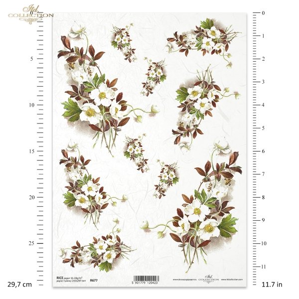 zawilec, zawilce, leśne kwiaty, wiosna, pora roku przedwiośnie, R677, forest flowers, spring, pre-winter season, Waldblumen, Frühling, Vorwinterzeit, flores del bosque, primavera, temporada pre-invierno