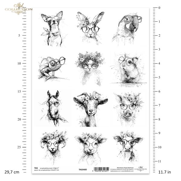 zwierzęta, okulary, kapelusze, wianki, czarno-białe, szkic, tusz, hipster, ilustracja, plakat, nowoczesny, grafika, portret, struś, kaczka, kogut, kura, sowa, alpaka, hipopotam, żyrafa, małpa, pingwin, nosorożec*animals, glasses, hats, wreaths, black and 