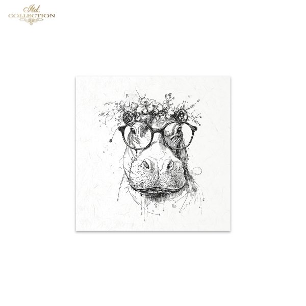 Zestaw papierów ryżowych (HS code 48021000) RSM254