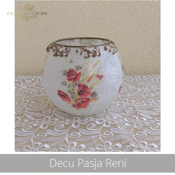 20190616-Decu Pasja Reni-R0415-example 01