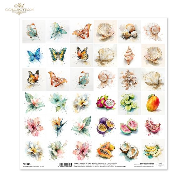 motyle, owady, skrzydła, muszle, ocean, plaża, morze, kwiat, hibiskus, egzotyczny, owoc, pitaja, marakuja, limonka, mango, granat, papaja, kokos, banan, akware* butterflies, insects, wings, seashells, ocean, beach, sea, flower, hibiscus, exotic, fruit, dr