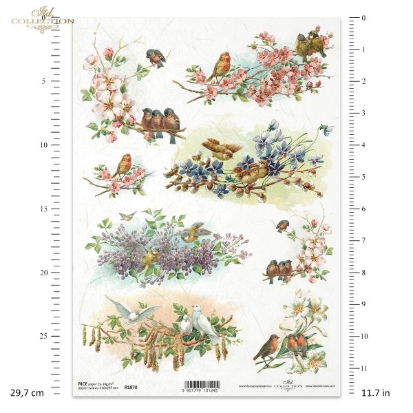 wiosna, ptak, ptaszek, ptaszki, kwiat, gałązka, gałązki, kwitnące, kwitnąca, spring, bird, flower, twig, flowering, Frühling, Vogel, Blume, Zweig, Blüte, primavera, pájaro, flor, ramita, floración 