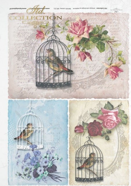 bird in a cage, bird cages, retro style, pastel colors, beautiful background 