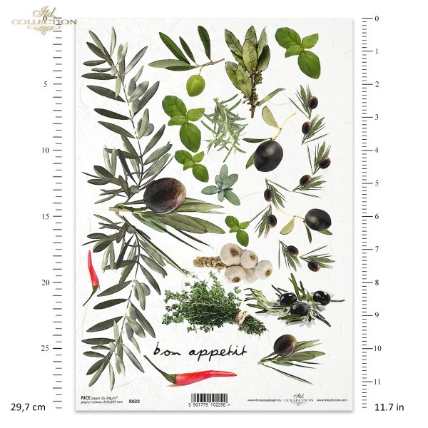 fruits herbs, garlic, paprika and olives, rosemary, basil, marjoram, bay leaves, R029