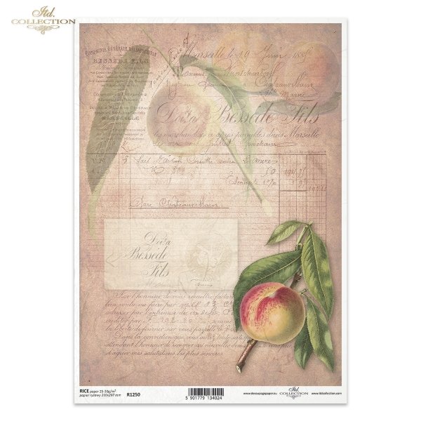 brzoskwinia, brzoskwinie, owoce, gałązka, liście, stare napisy, retro, ręczne pismo, dawne dokumenty, peach, fruit, twig, leaves, old inscriptions, retro, handwriting, old documents, Pfirsich, Obst, Zweig, Blätter,