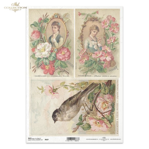 kobieta, portret, postać, ramka, retro, vintage, ptak, romantyzm, kwiaty, R637, woman, portrait, figure, frame, retro, vintage, bird, romantic, flowers, mujer, retrato, figura, marco, retro, vintage, pájaro, romántico, flores, Frau, Porträt, Figur, Rahmen