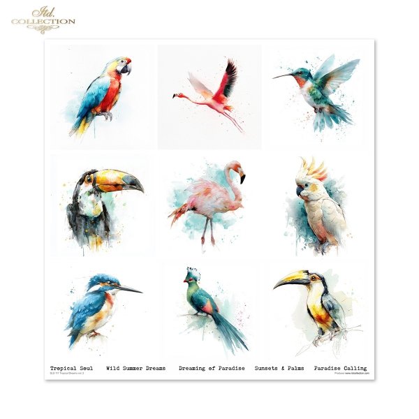 Zestaw do scrapbooking (HS code 48025890) SLS-111 Tropical Dreams vol. 2