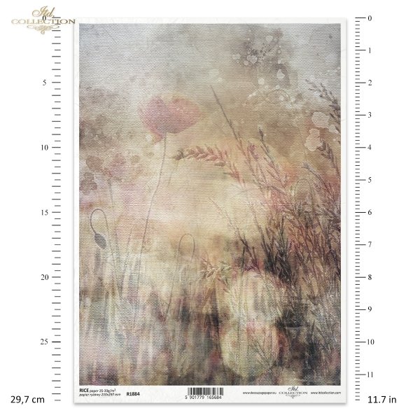 kwiaty polne, dzikie kwiaty, łąka, zioła, akwarela, akwarele, tło, tła, struktura płótna, Summer meadow, grass, grasses, field flowers, wild flowers, meadow, herbs, watercolour, background, canvas structure, Gras, Gräser, Feldblumen