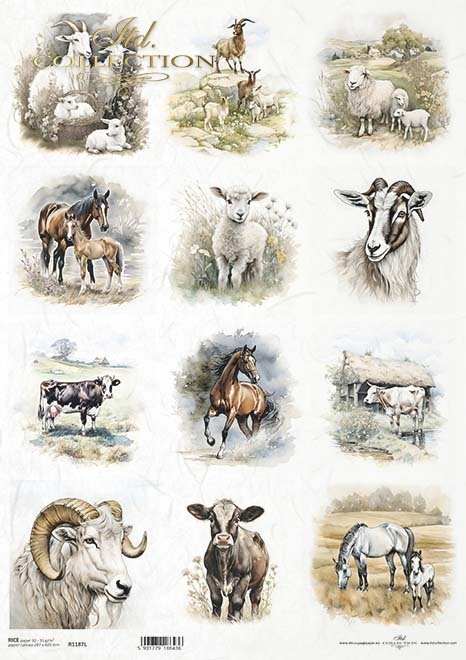 seria Early Spring - owce, konie, owieczki, kozy*sheep, horses, sheep, goats*Schafe, Pferde, Schafe, Ziegen*ovejas, caballos, ovejas, cabras
