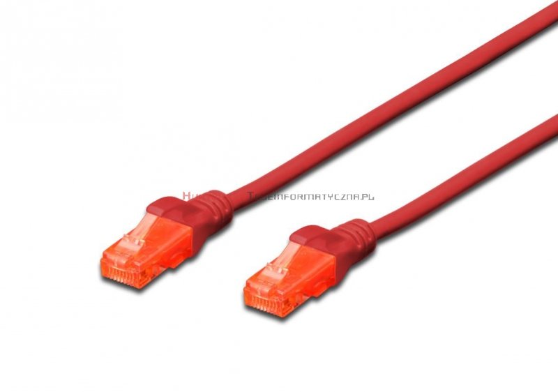 UTP Patch cord 0,25 m. Kat.6, LSOH, czerwony