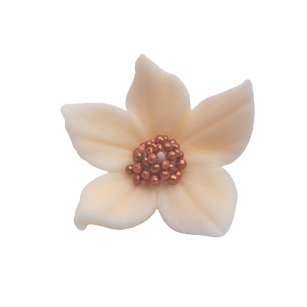 Płomyk ecru (3 x 10 szt)